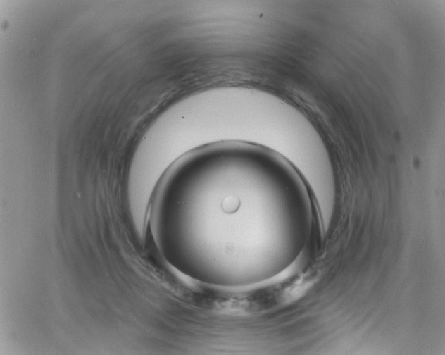 X0000066090362200603171101