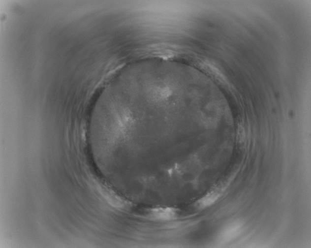 X0000066090363200603171101