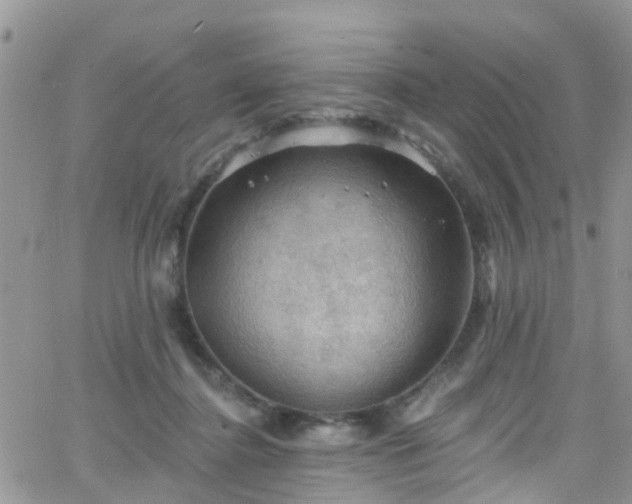 X0000066090364200603171101