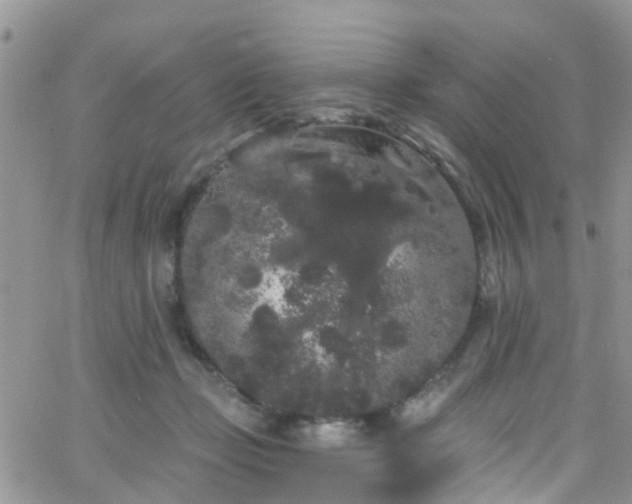 X0000066090365200603171101