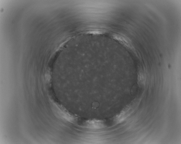 X0000066090367200603171101