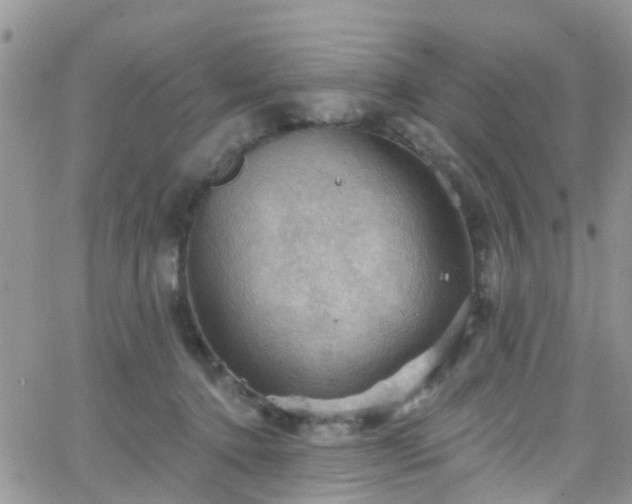 X0000066090368200603171101