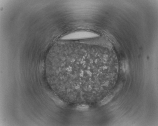 X0000066090369200603171101