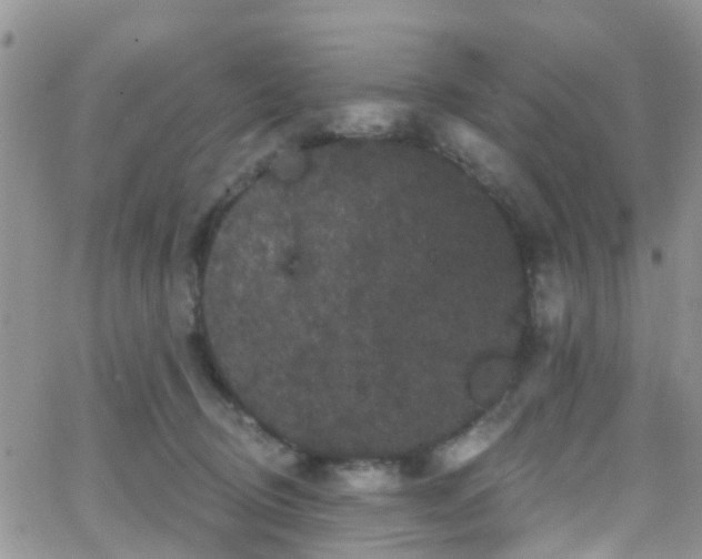 X0000066090370200603171101