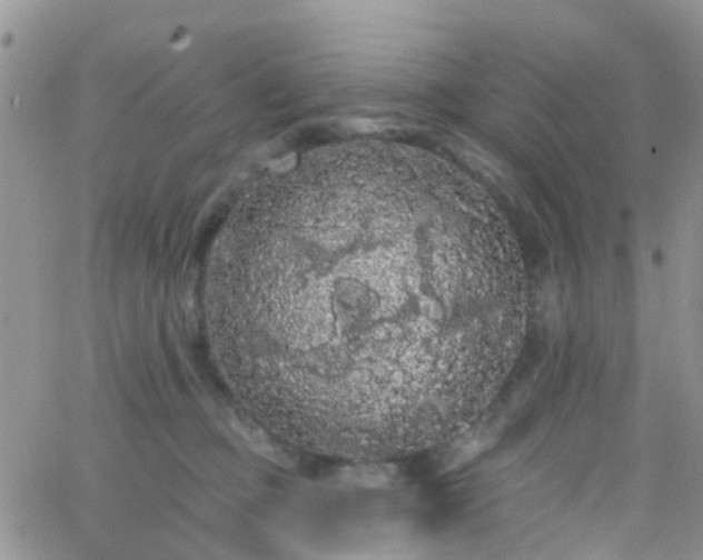 X0000066090373200603171101