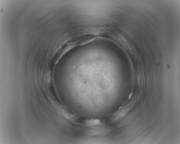 X0000066090374200603171101