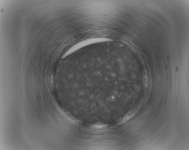 X0000066090375200603171101