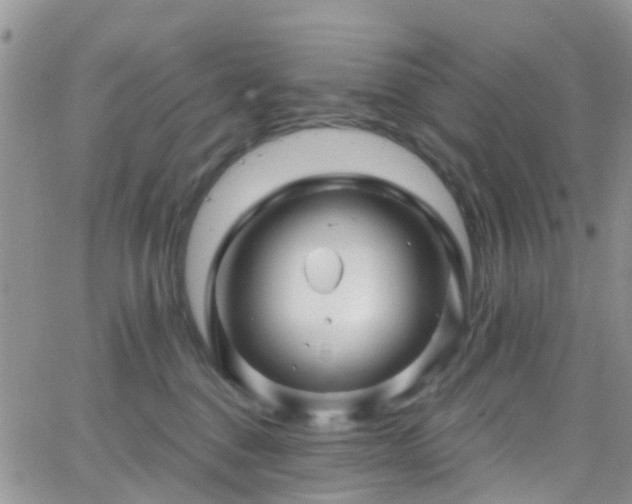 X0000066090376200603171101