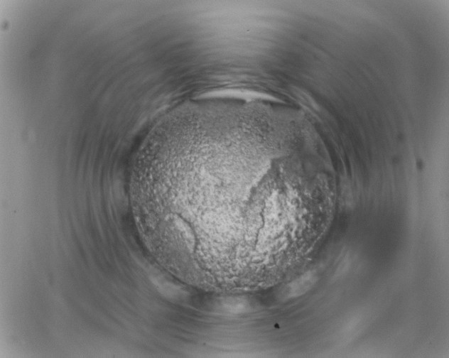 X0000066090377200603171101