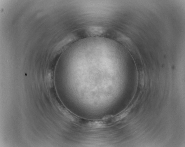 X0000066090378200603171101