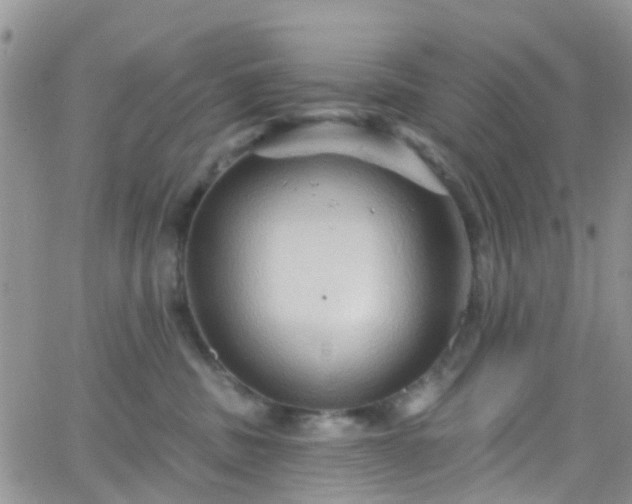 X0000066090379200603171101