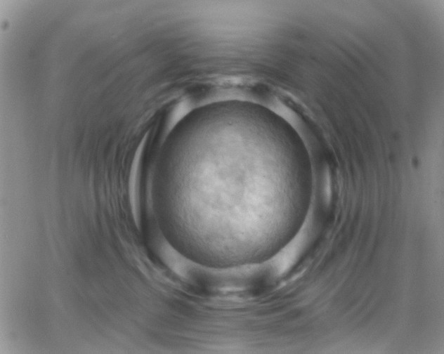 X0000066090380200603171101