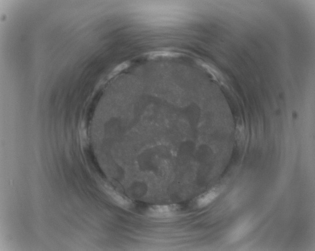 X0000066090381200603171101