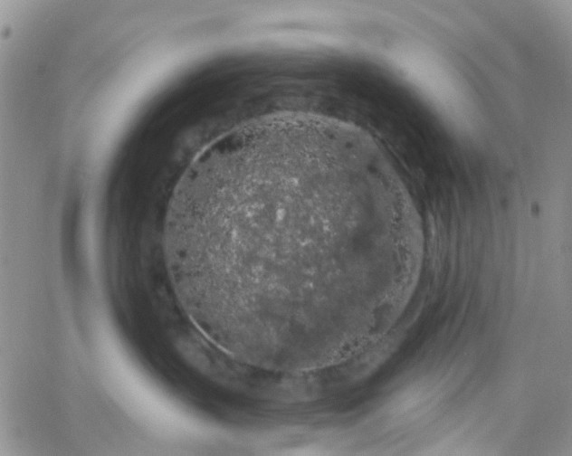 X0000066090383200603171101