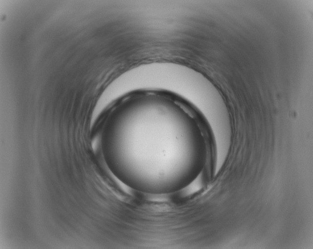 X0000066090384200603171101