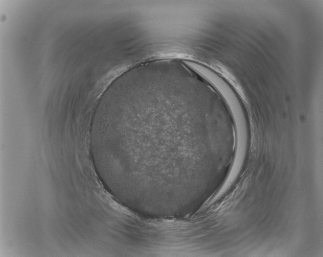 X0000066090385200603171101