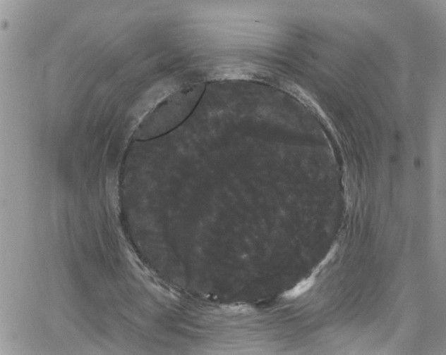 X0000066090386200603171101