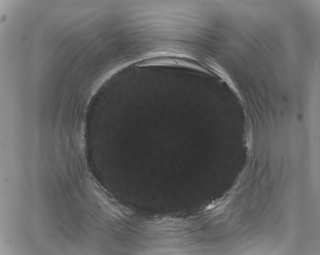 X0000066090387200603171101