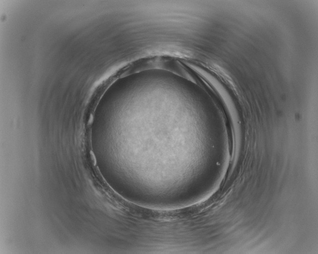 X0000066090388200603171101