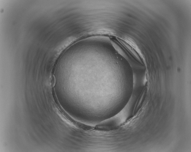 X0000066090389200603171101