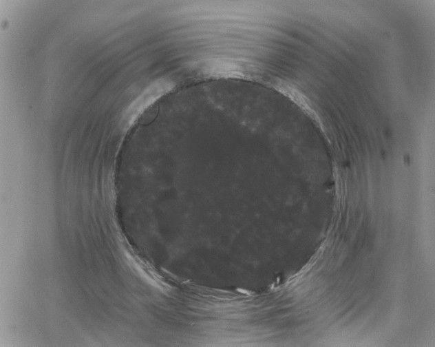 X0000066090390200603171101