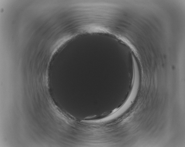 X0000066090391200603171101