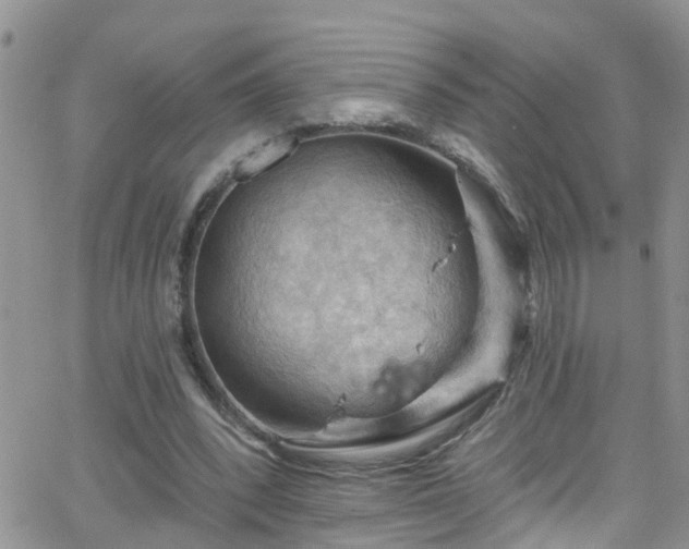 X0000066090392200603171101