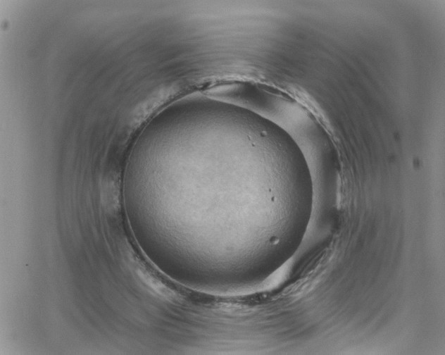 X0000066090393200603171101