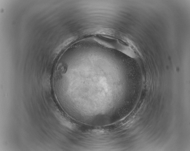 X0000066090394200603171101