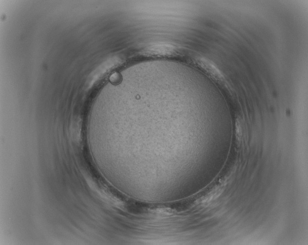 X0000066090396200603171101