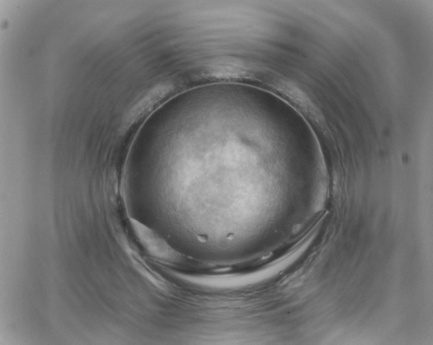 X0000066090397200603171100