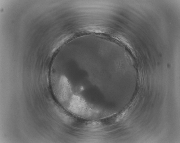 X0000066090398200603171100