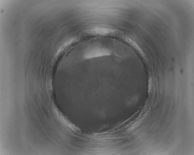 X0000066090399200603171100