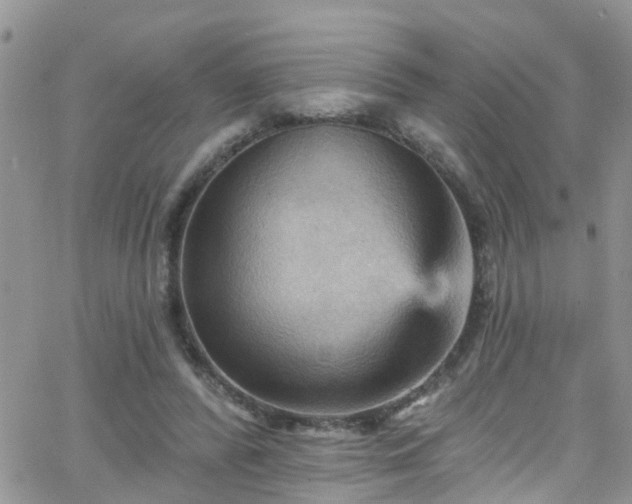 X0000066090400200603171100