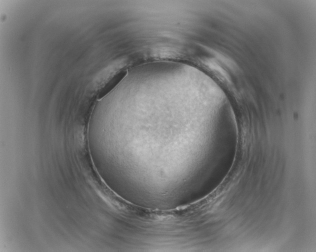 X0000066090401200603171100