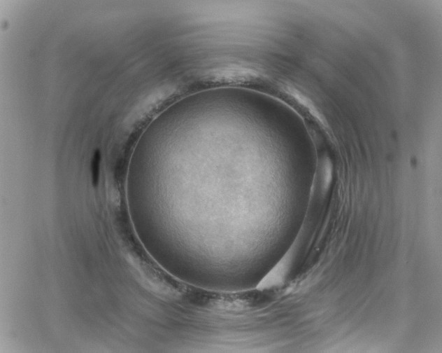 X0000066090403200603171100