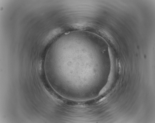 X0000066090404200603171100