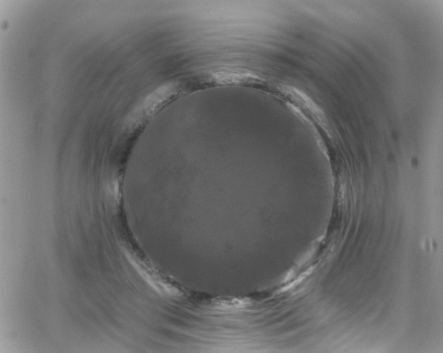 X0000066090405200603171100