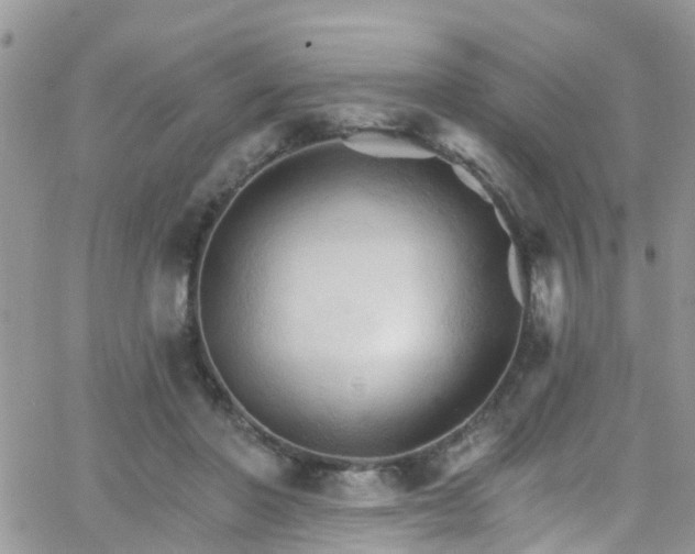 X0000066090406200603171100