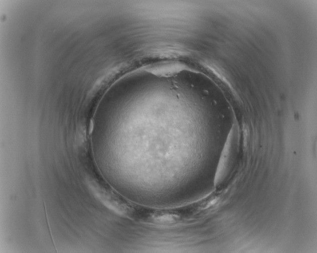 X0000066090407200603171100