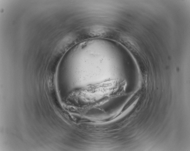 X0000066090408200603171100