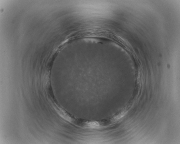 X0000066090409200603171100