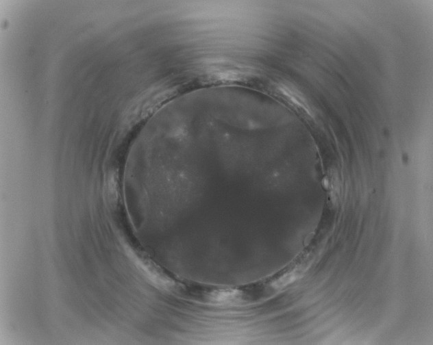 X0000066090410200603171100