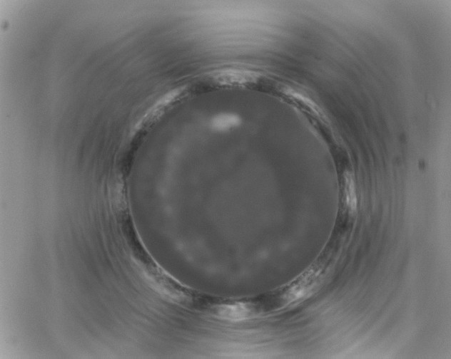 X0000066090411200603171100