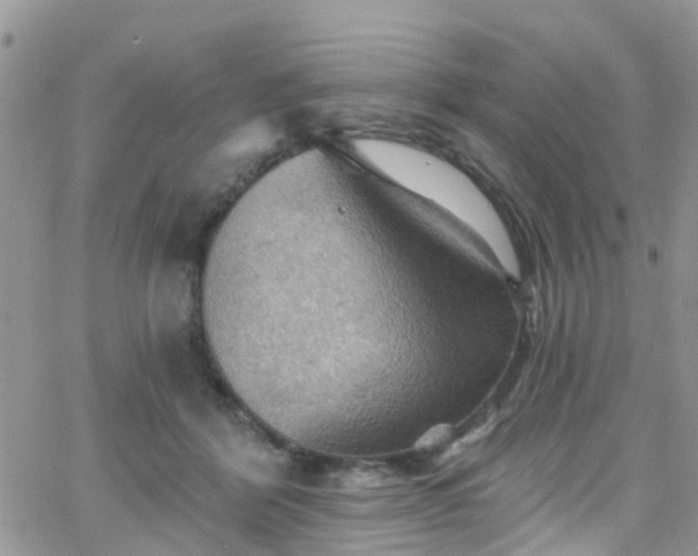 X0000066090412200603171100