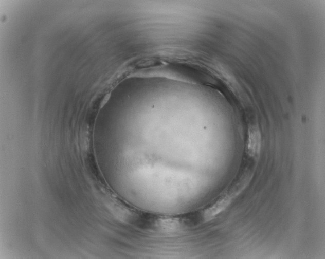 X0000066090413200603171100