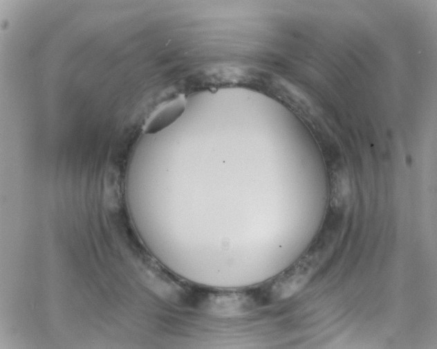 X0000066090414200603171100