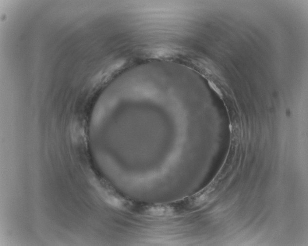 X0000066090415200603171100