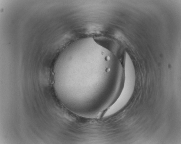 X0000066090416200603171100