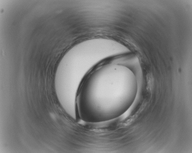 X0000066090417200603171100